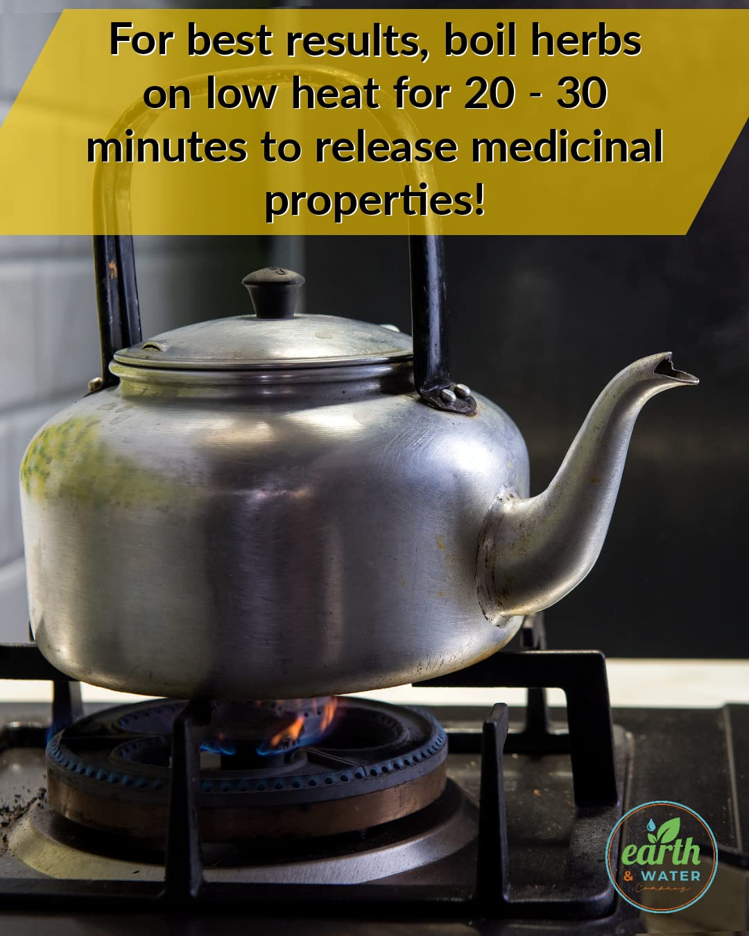 Earth & Water Company: Burdock Root + Dandelion Root, Cut & Sifted, Dried, Certified Organic, Kosher | 20 Natural, Unbleached Tea Bags